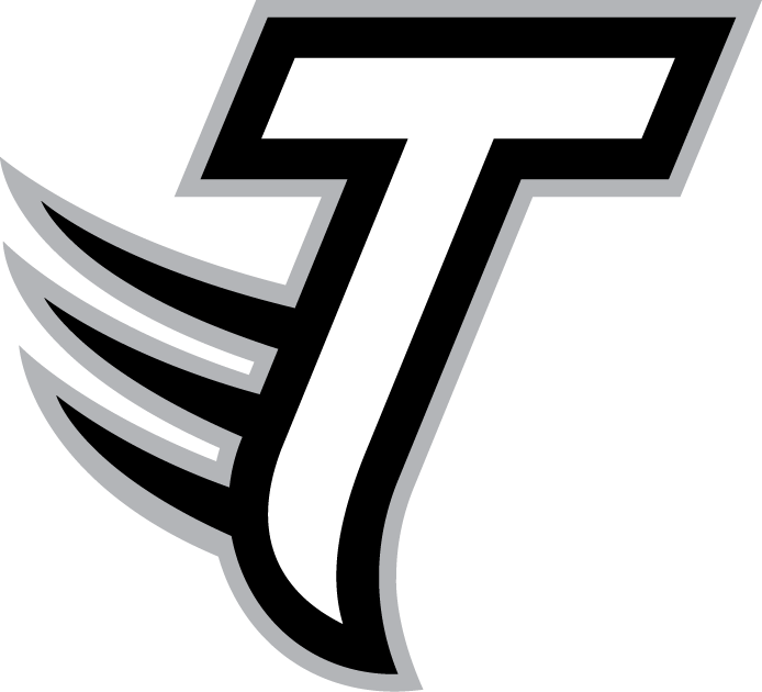 Towson Tigers 2004-Pres Alternate Logo v2 DIY iron on transfer (heat transfer)